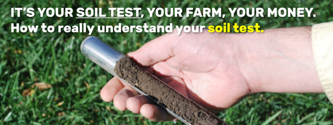 Understanding your soil test
